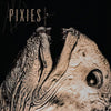 pixies, alt-punk, 80s punk, alternative
