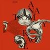 convulsif, aRT DOOM, free jazz, noise improvisational,  noise-art, noise,  experimental music, doom jazz

noise ro
