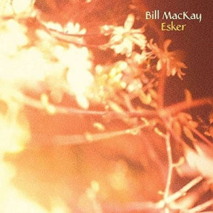 Bill MacKay, ESKER, AMERICAN PRIMITIVE GUITAR 