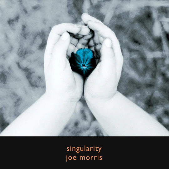 Joe Morris: Singularity CD