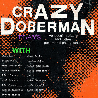Crazy Doberman: Hypnogogic Relapse And Digital Regress LP