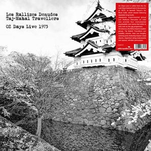 LES RALLIZES DENUDES,  TAJ MAHAL TRAVELLERs, Japanese experimental  music,  Japanese psych