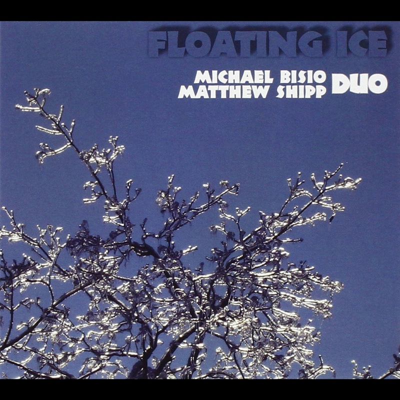 Matthew Shipp and Michael Bisio: Floating Ice CD