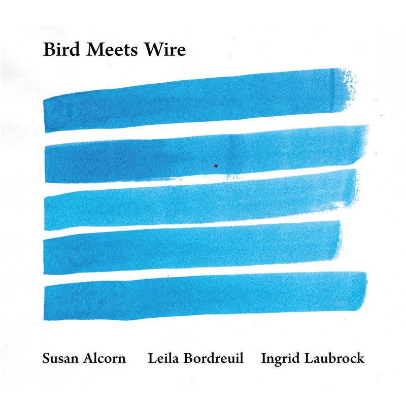 Susan Alcorn, Ingrid Laubrock, Leila Bordreuil: Bird Meets Wire CD
