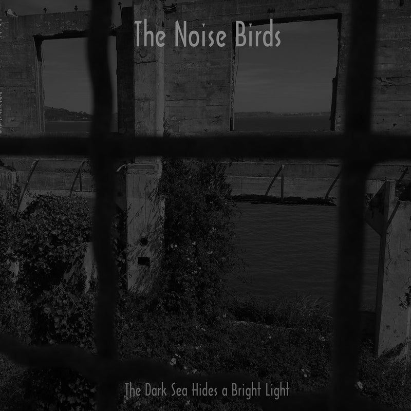 Noise Birds: The Dark Sea Hides A Bright Light LP