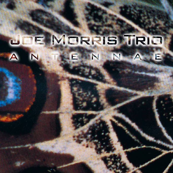 Joe Morris Trio: Antennae CD