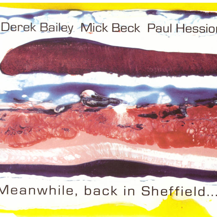 Derek Bailey, Mick Beck, Paul Hession: Meanwhile Back In Sheffield CD