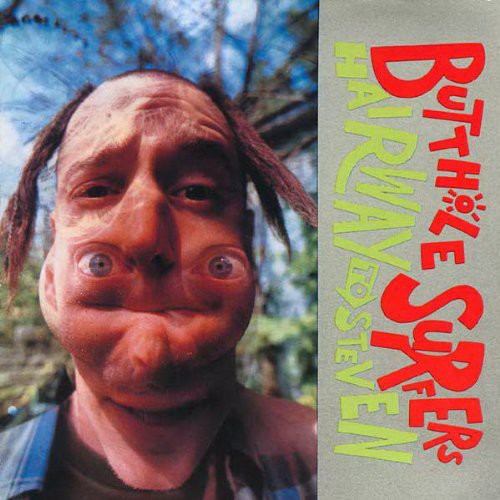 Butthole Surfers: Hairway To Steven LP